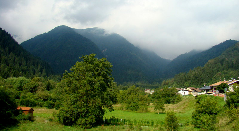 Sutrio e i creatori del legno